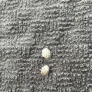 Silver flower starburst post earrings